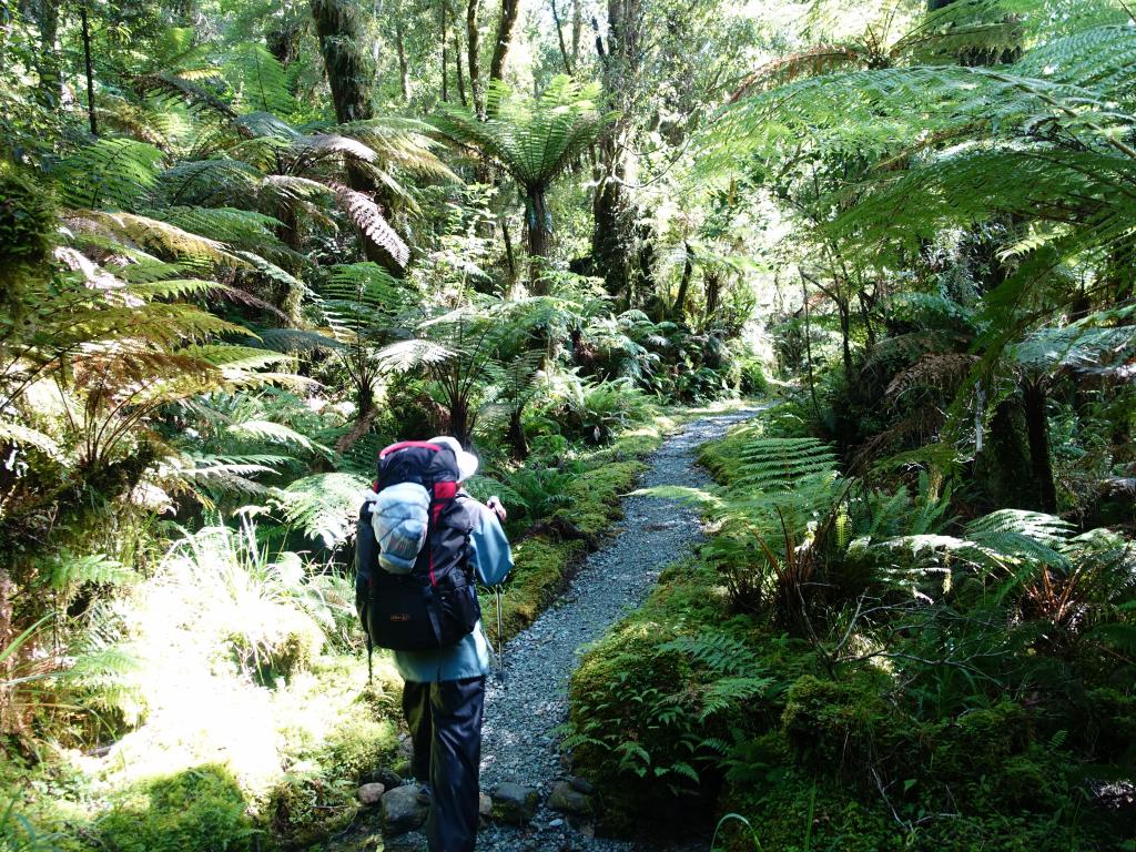 570 - 20150204 Milford Track