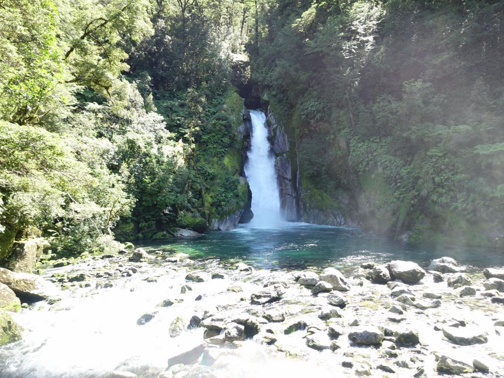 574 - 20150204 Milford Track