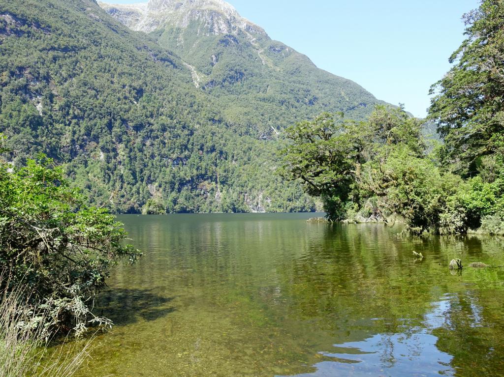 580 - 20150204 Milford Track