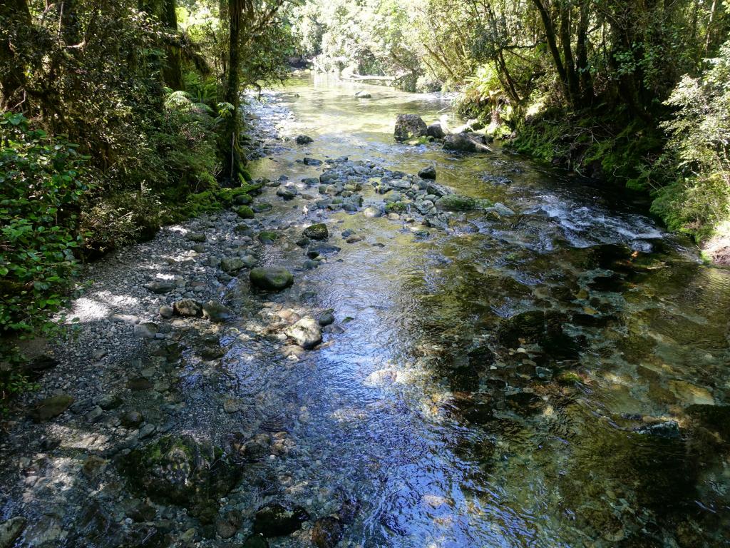 585 - 20150204 Milford Track