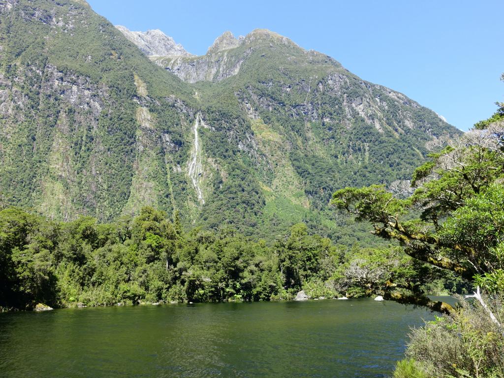 594 - 20150204 Milford Track