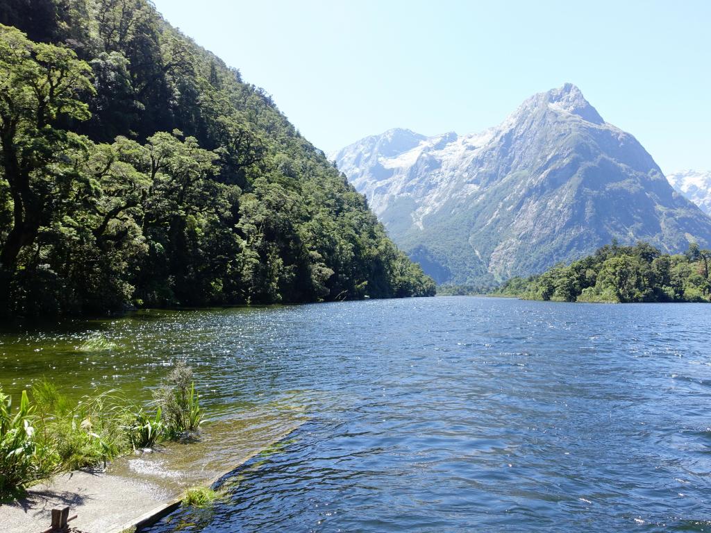 598 - 20150204 Milford Track