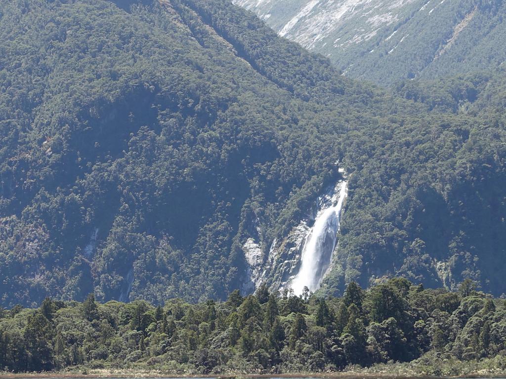 606 - 20150204 Milford Track