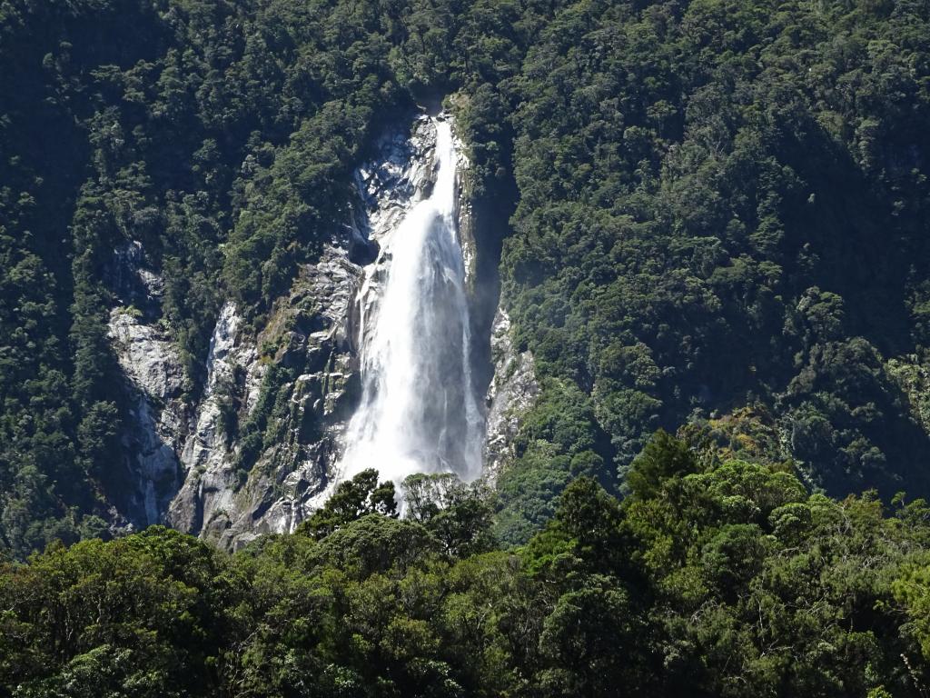 613 - 20150204 Milford Track