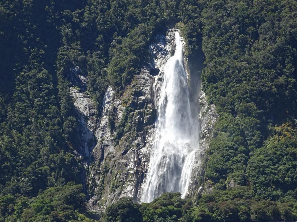 616 - 20150204 Milford Track