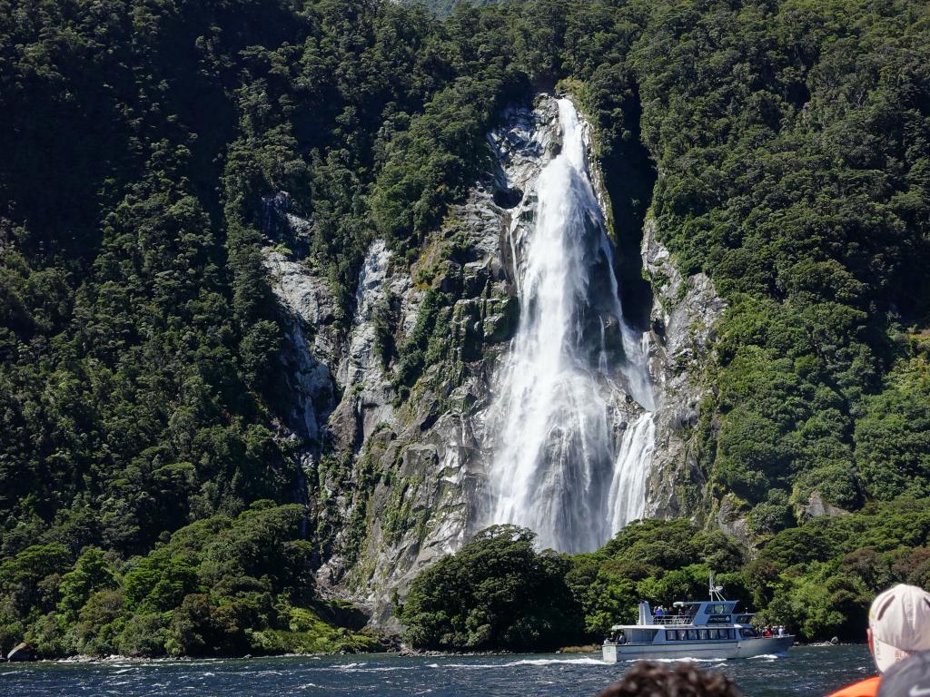 626 - 20150204 Milford Track