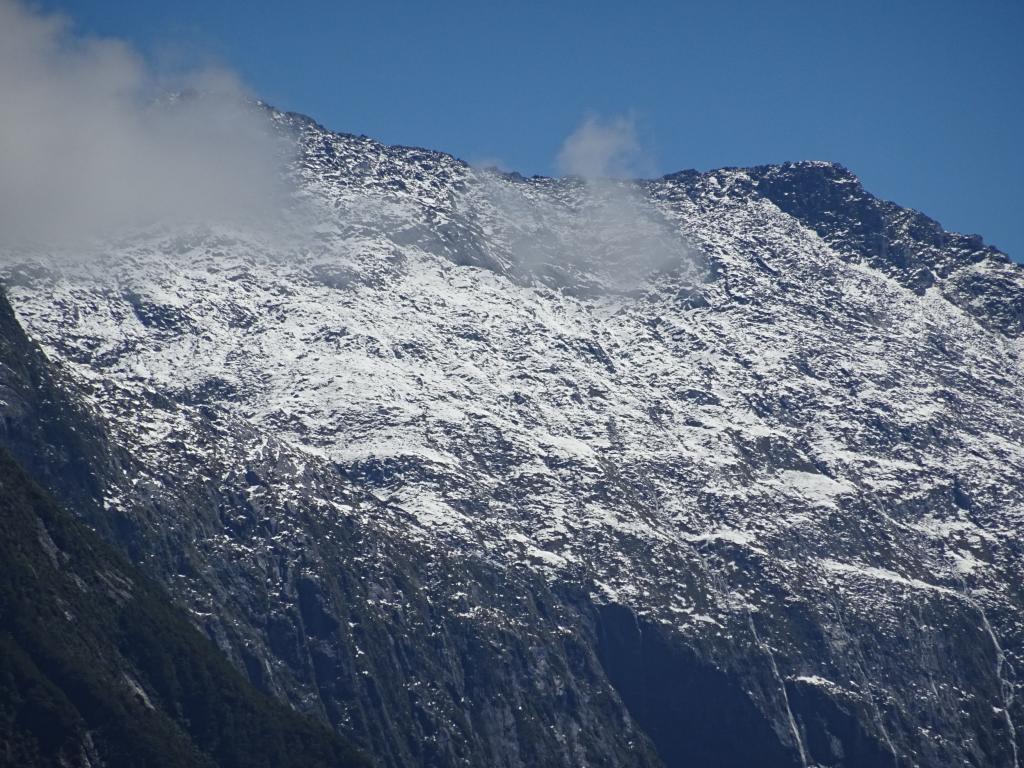 632 - 20150204 Milford Track