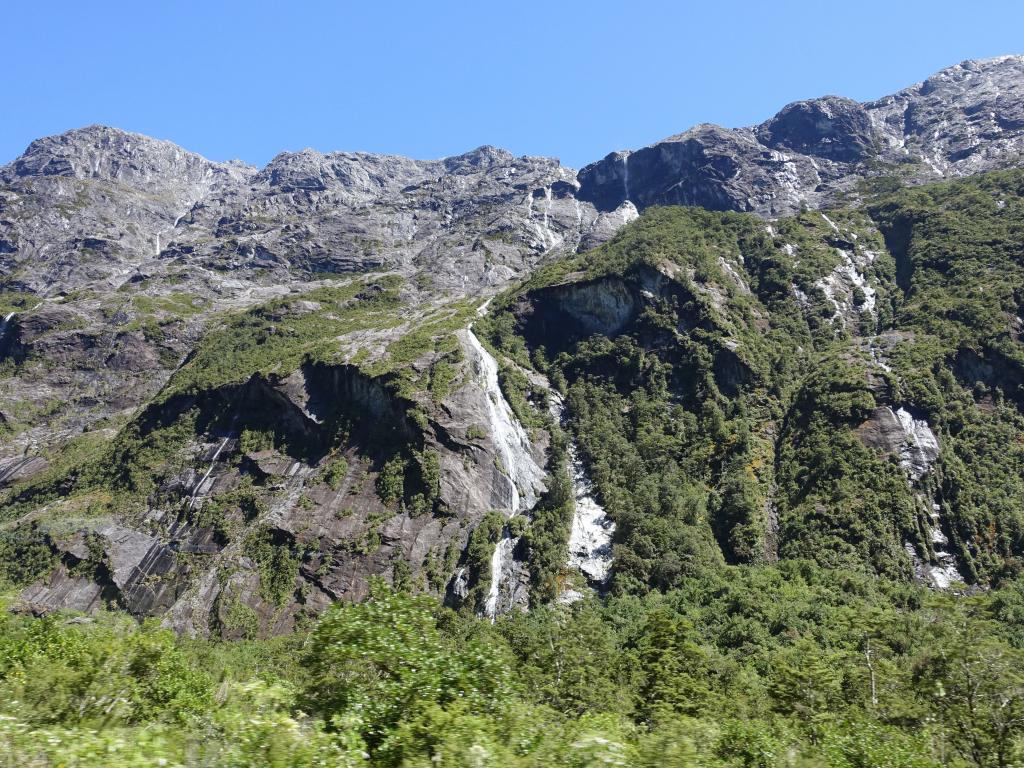 638 - 20150204 Milford Track