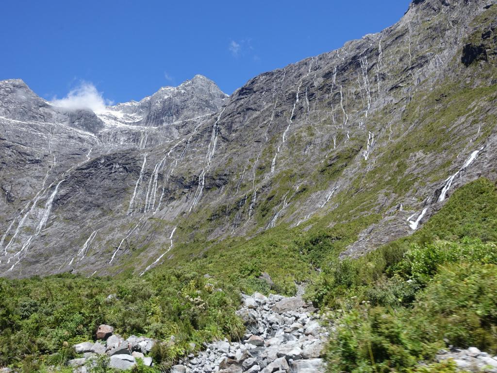 639 - 20150204 Milford Track