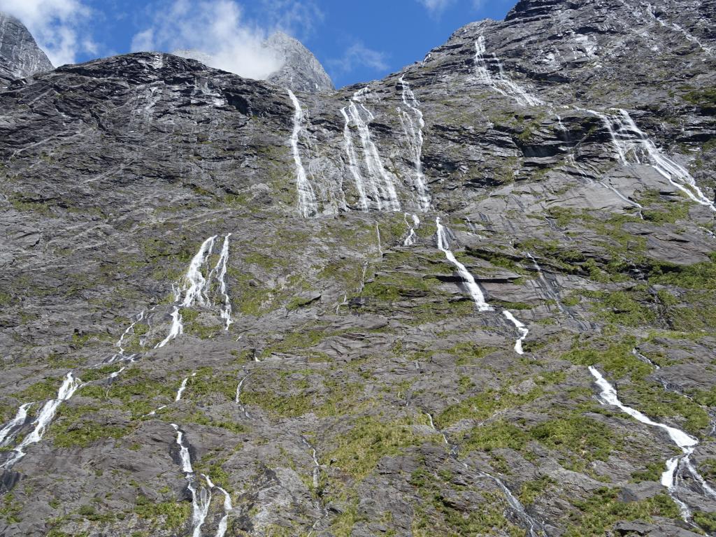 645 - 20150204 Milford Track