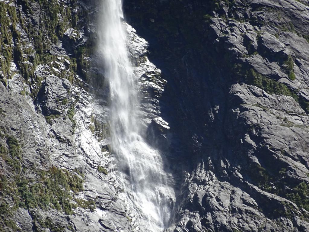 651 - 20150204 Milford Track