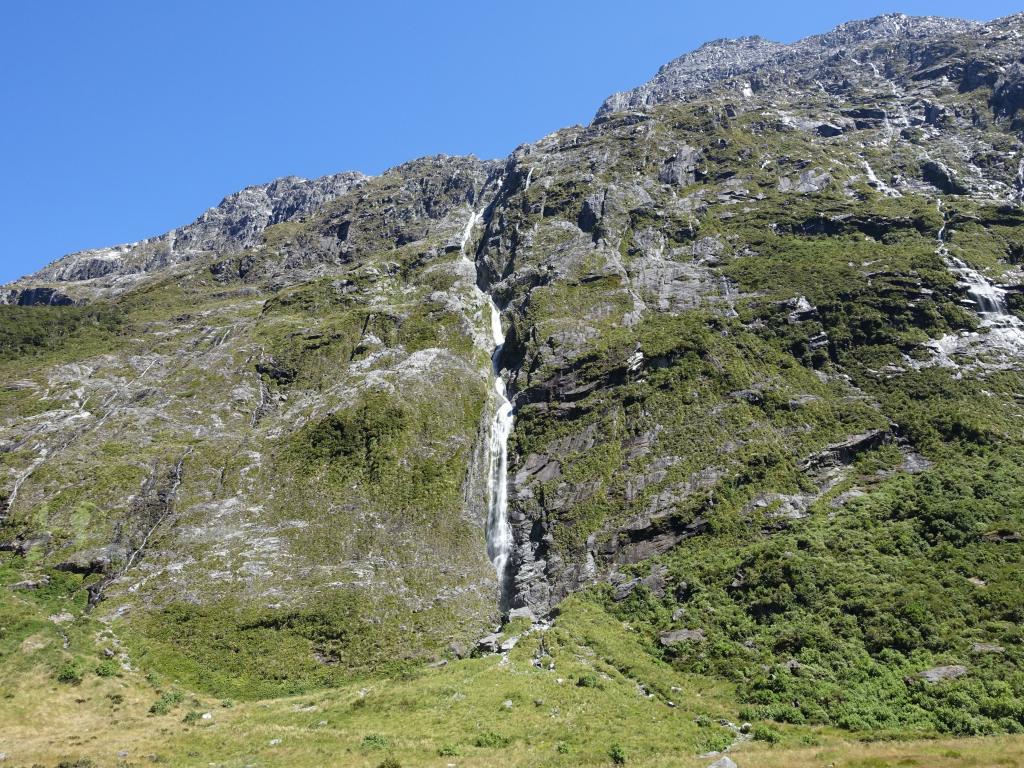 656 - 20150204 Milford Track