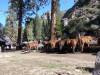 115 - 20170923 Emigrant Wilderness