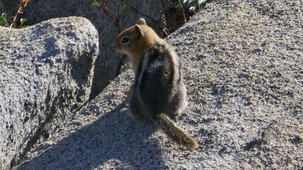 214 - 20170923 Emigrant Wilderness