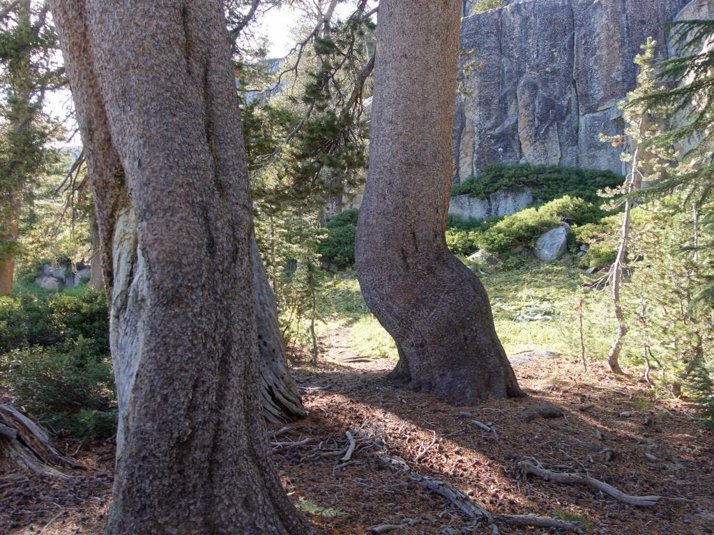 217 - 20170923 Emigrant Wilderness