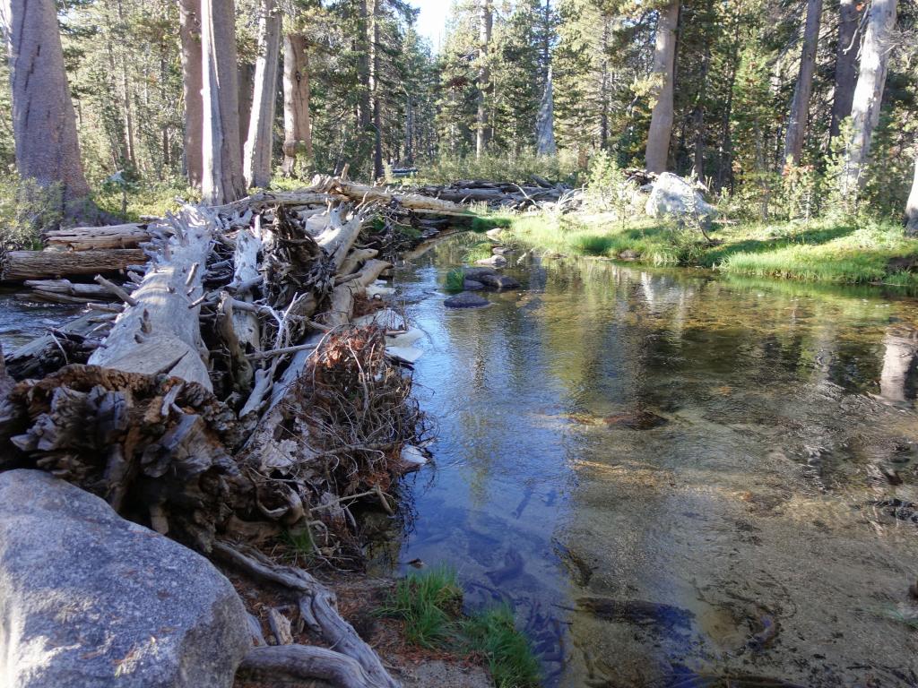 247 - 20170923 Emigrant Wilderness