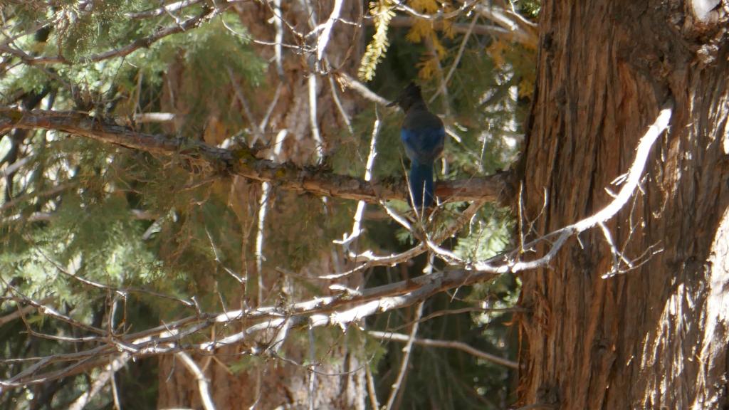 348 - 20170923 Emigrant Wilderness