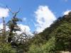 179 - 20190111 Routeburn Track Day1