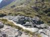 499 - 20190112 Routeburn Track Day2