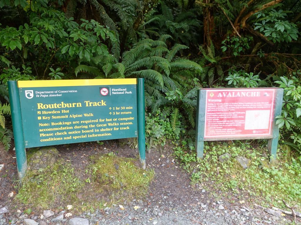 116 - 20190111 Routeburn Track Day1