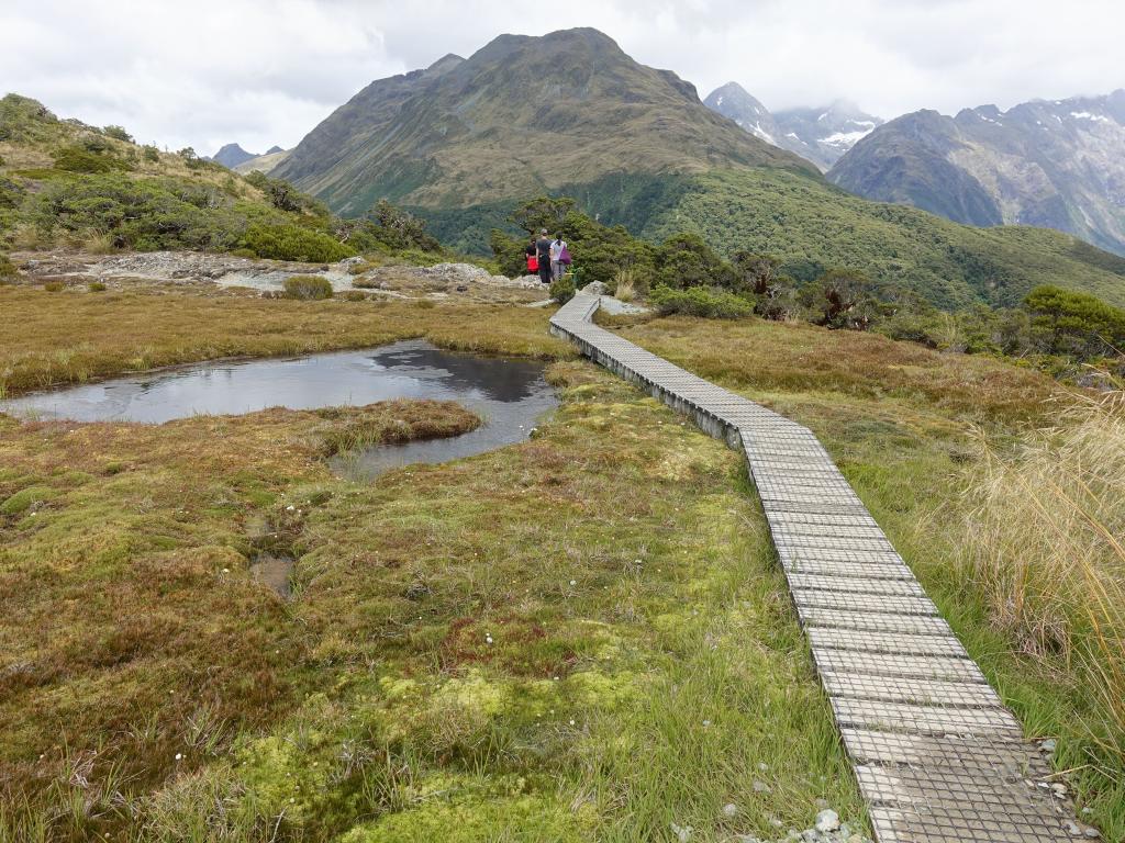 137 - 20190111 Routeburn Track Day1