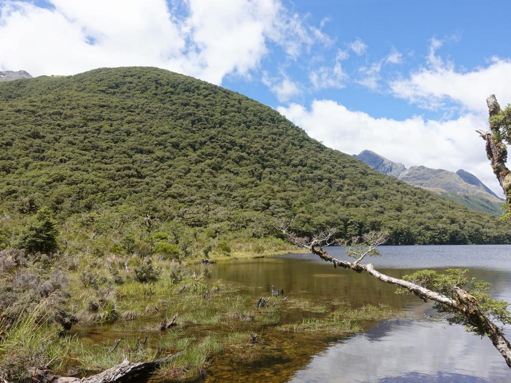 176 - 20190111 Routeburn Track Day1