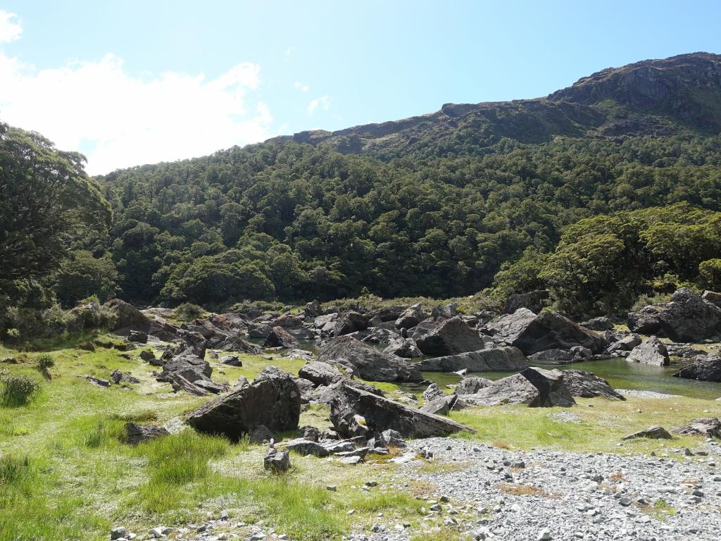 260 - 20190111 Routeburn Track Day1