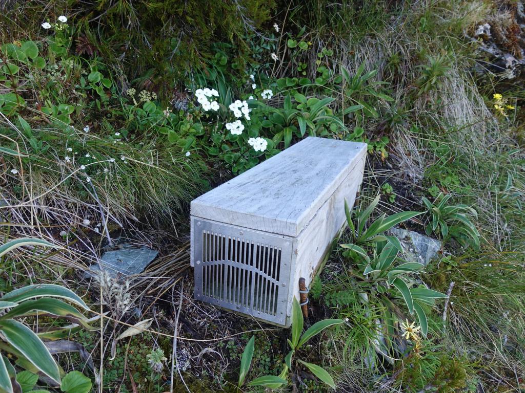 440 - 20190112 Routeburn Track Day2