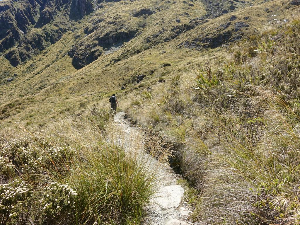 446 - 20190112 Routeburn Track Day2