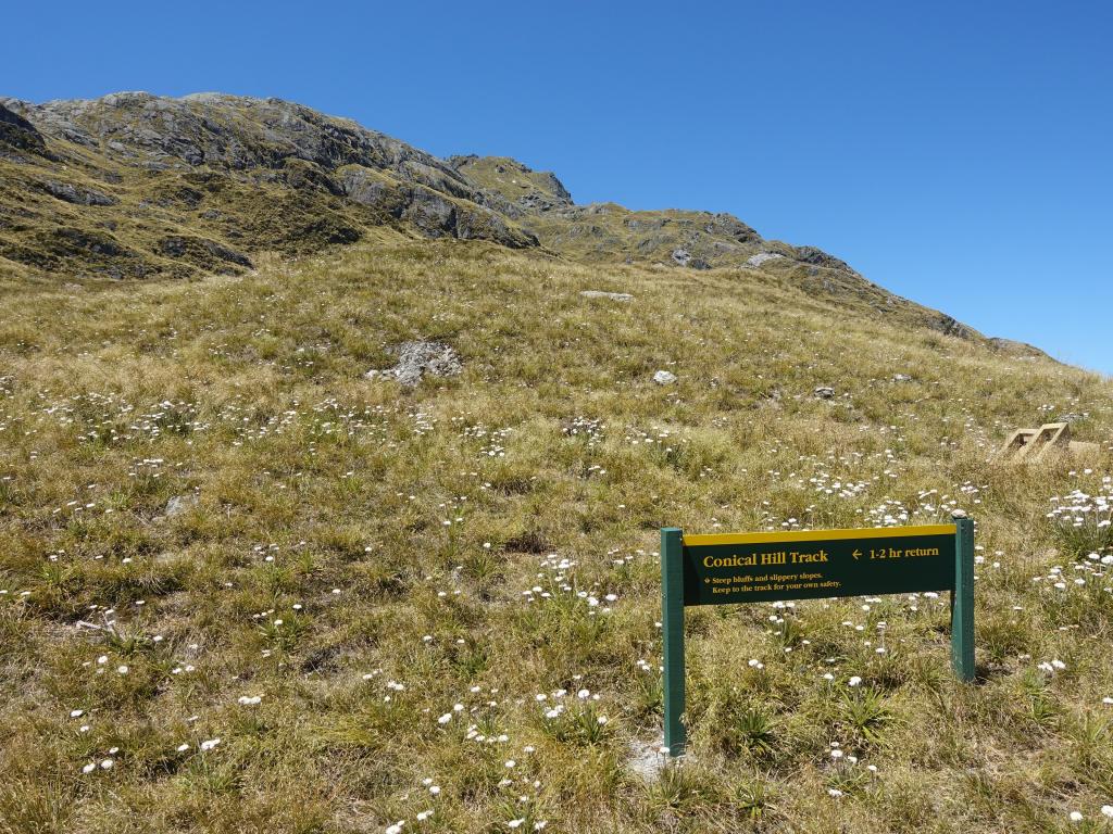 453 - 20190112 Routeburn Track Day2