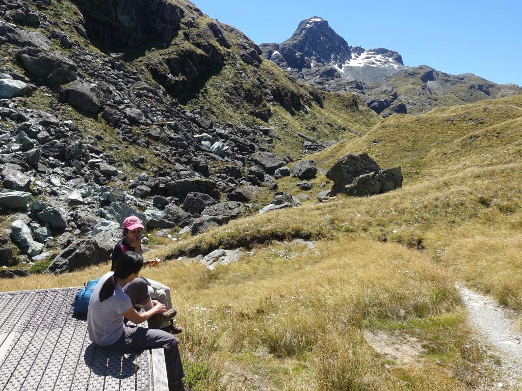 454 - 20190112 Routeburn Track Day2