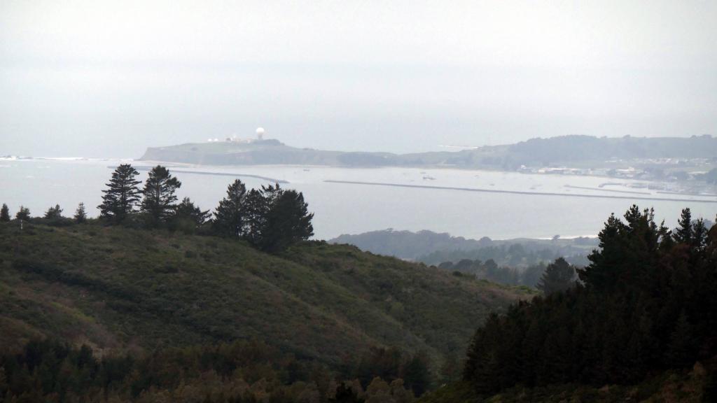 131 - 20200417 Skyline Purisima Creek