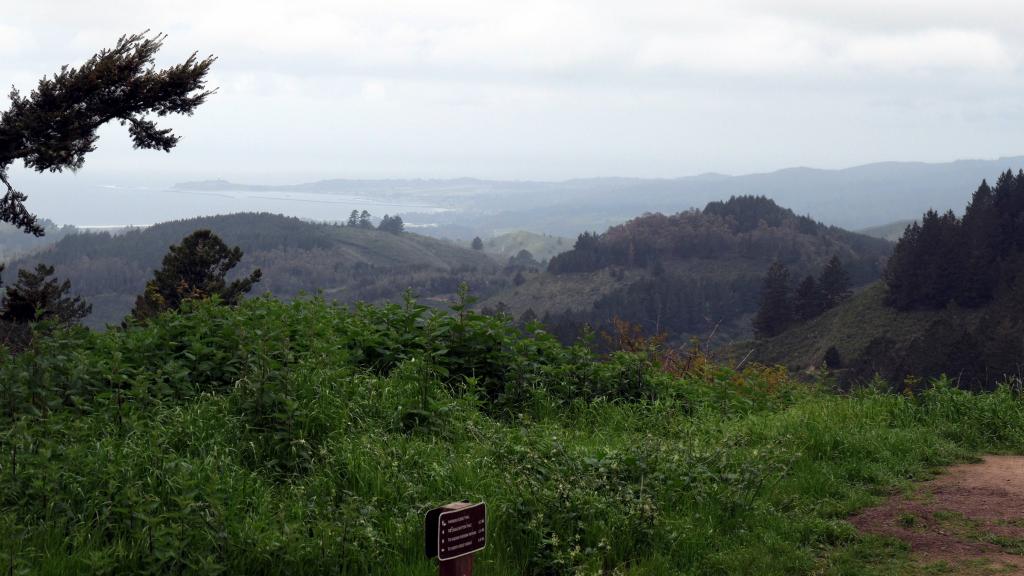 177 - 20200417 Skyline Purisima Creek