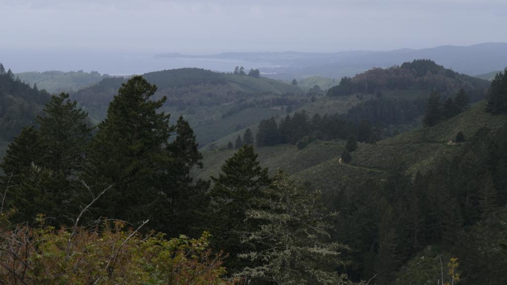 178 - 20200417 Skyline Purisima Creek