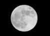 Album: 2012/05/06 - SuperMoon