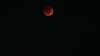 Album: 2022/05/15 - Blood Moon