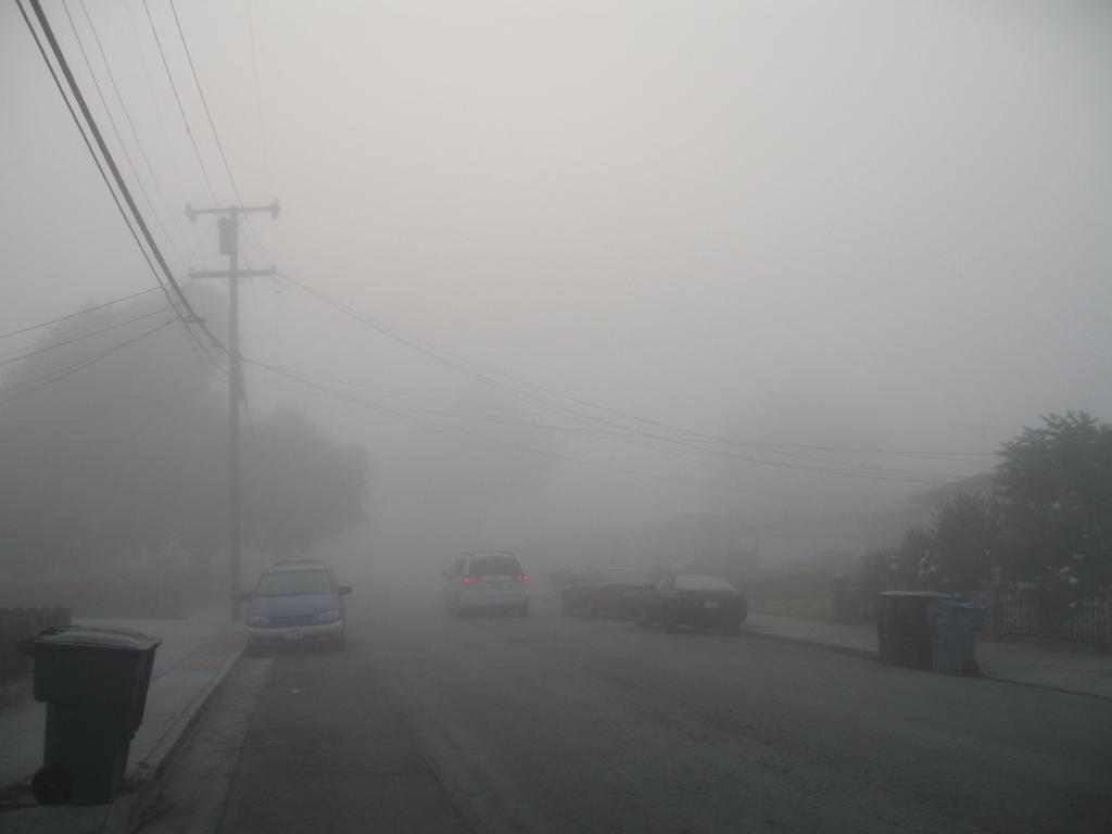 501 - Home Fog