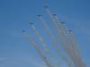 Album: Airshow Snowbirds