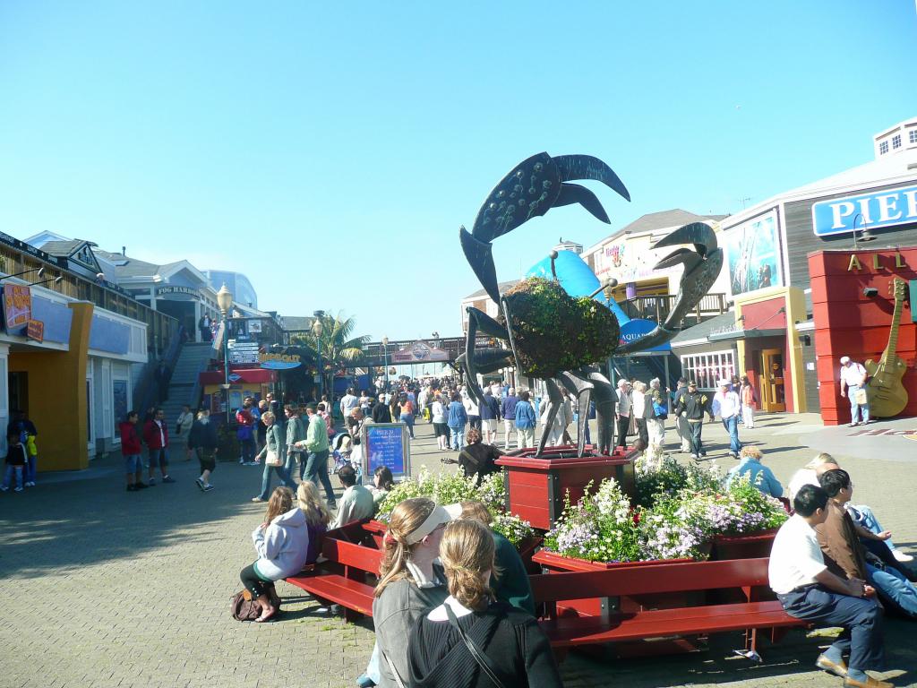 311 - Pier39