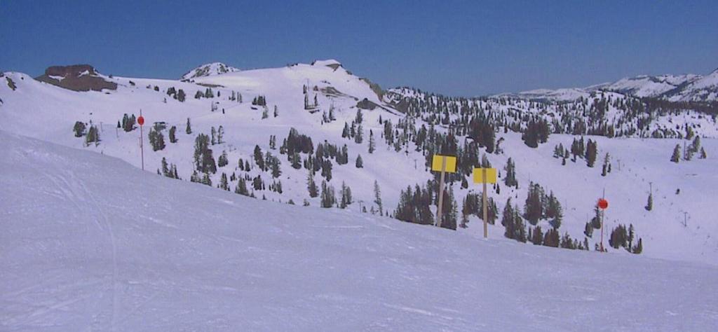 623 - SquawValley