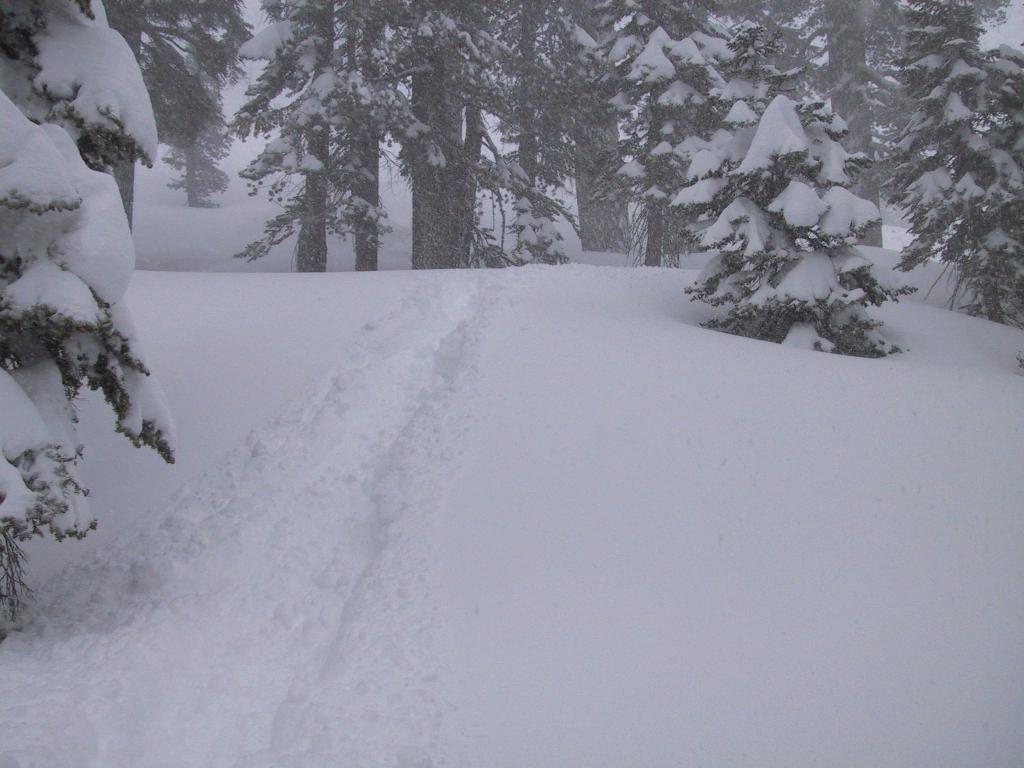 117 - Thursday Kirkwood PowderDay1