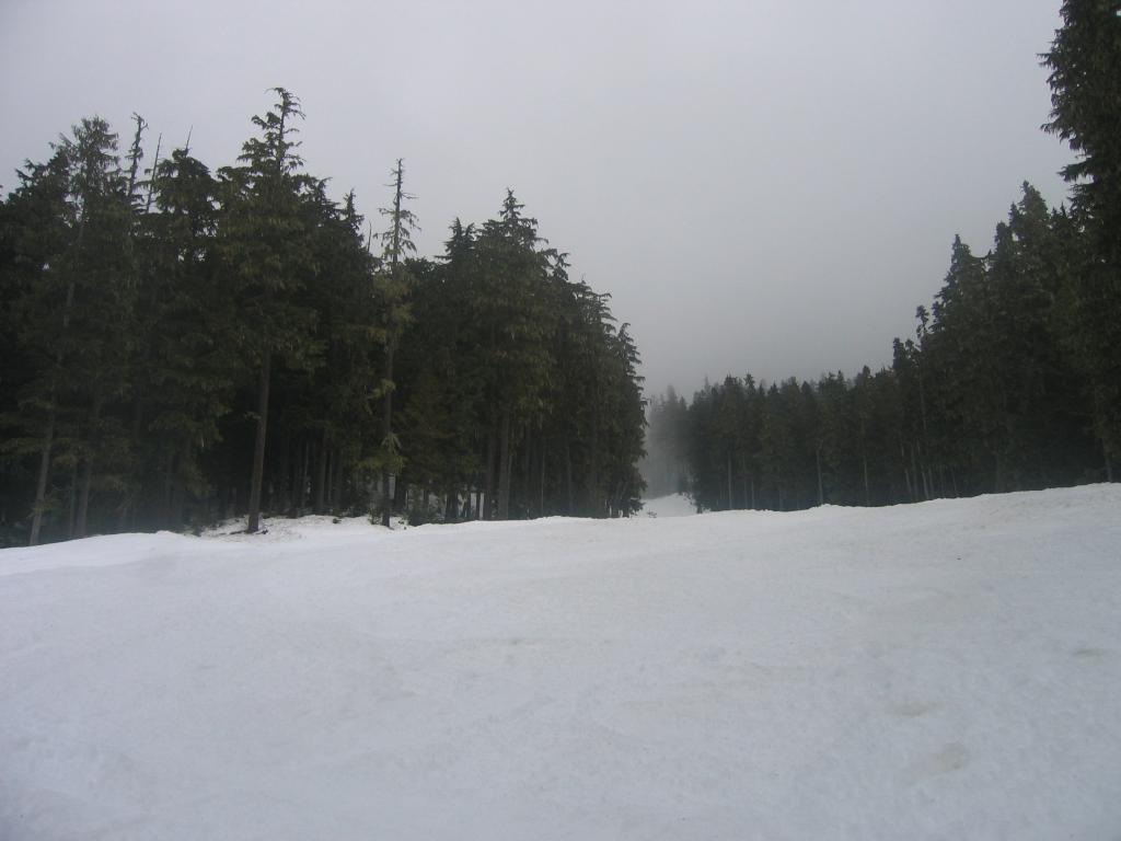 233 - Whistler-Blackcomb Day2