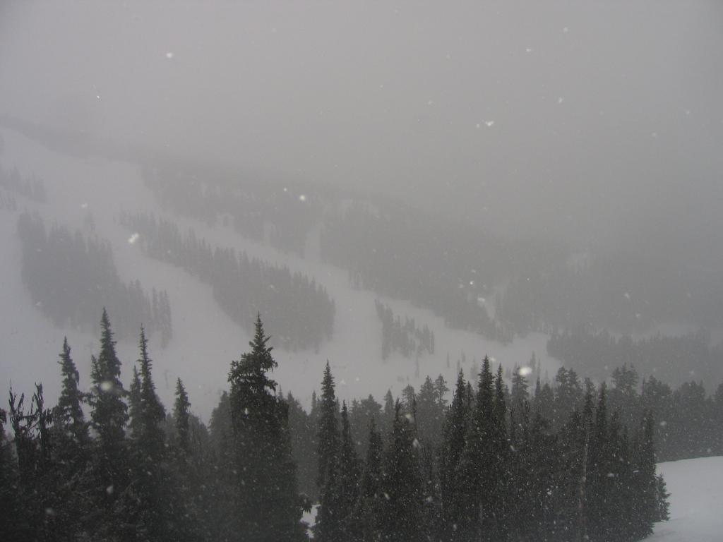 329 - Blackcomb Day3