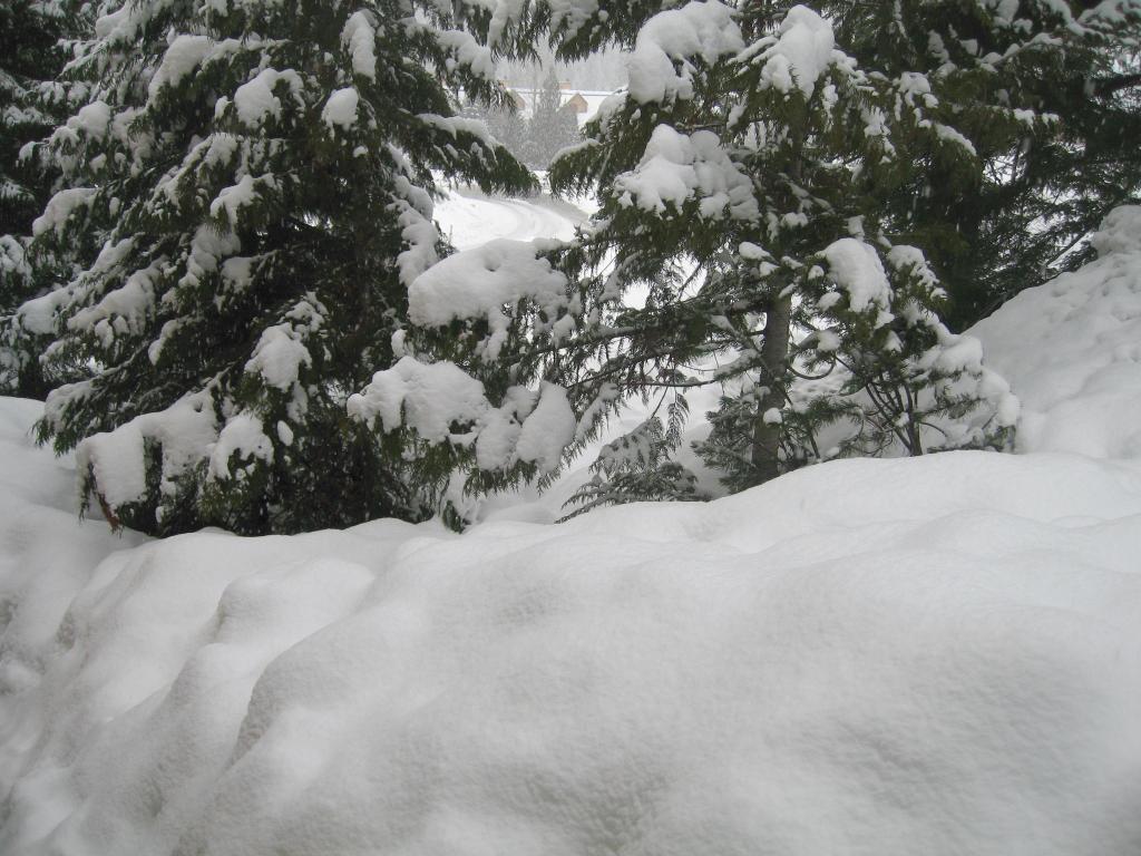 100 - Blackcomb Day1