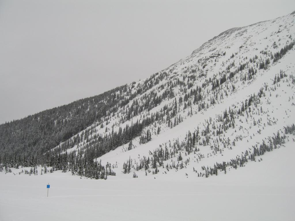 134 - Blackcomb Day1