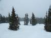 140 - 20120208 Aspen Snowmass