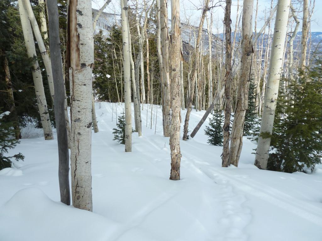 110 - 20120208 Aspen Snowmass