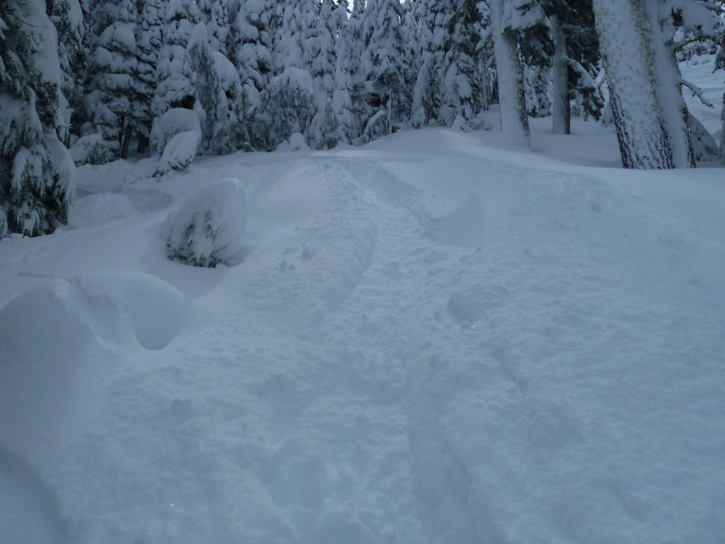 244 - 20120317 Day1 Alpine Meadows