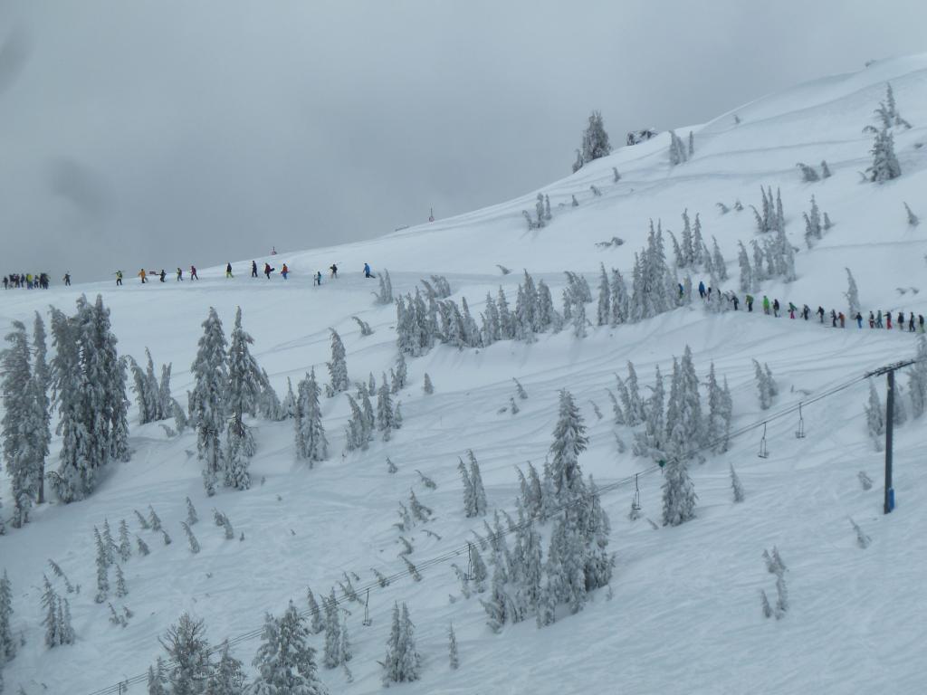 252 - 20120317 Day1 Alpine Meadows