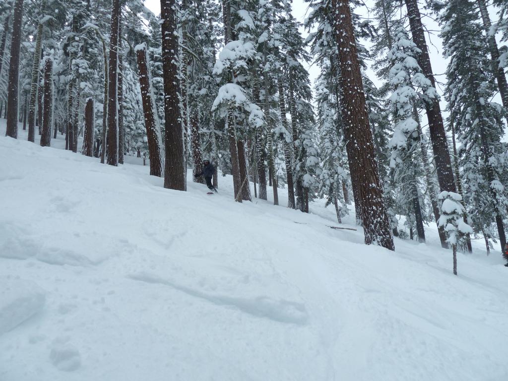 323 - 20120317 Day2 Northstar